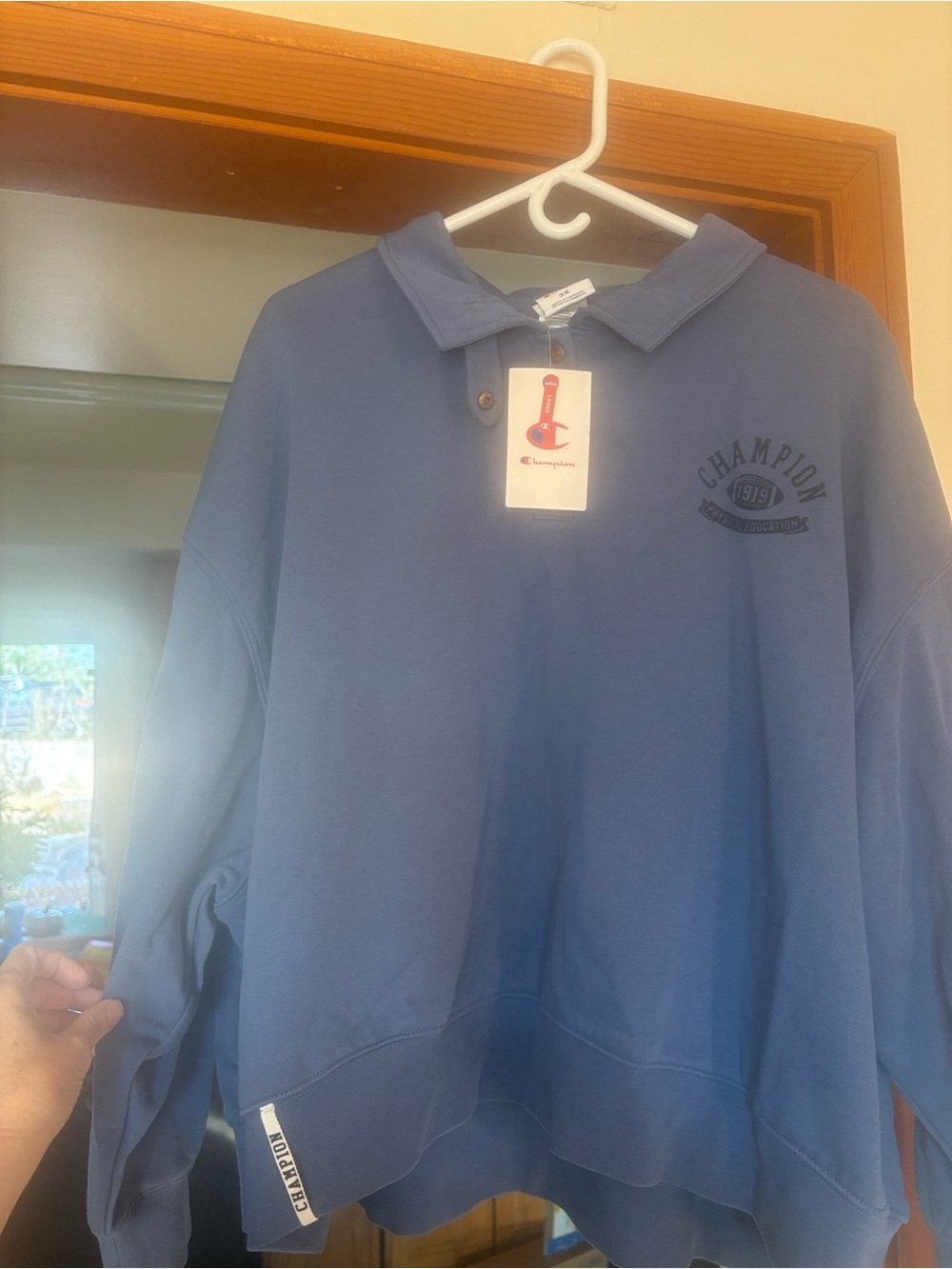 Champion Men's Blue Collared Pullover Sweatshirt